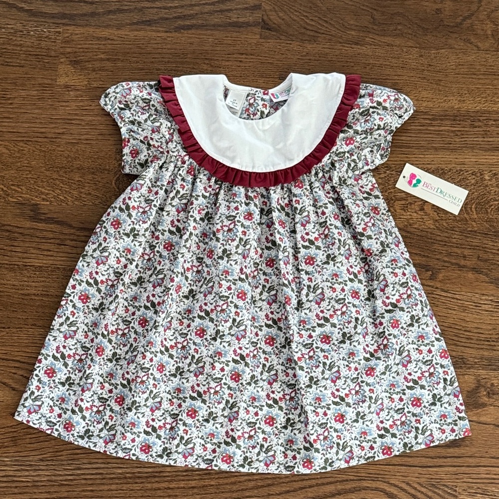 Floral Ruffle Bib Dress The Best Dressed Child New With Tags
